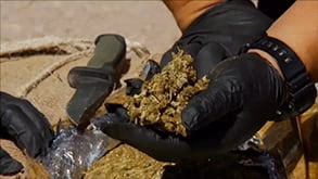 Law on the Border — video thumbnail